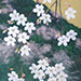 Tenzan Takahashi Gallery